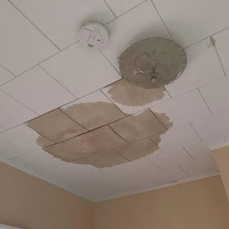 Ceiling Water Damage Repair in Comanche, TX