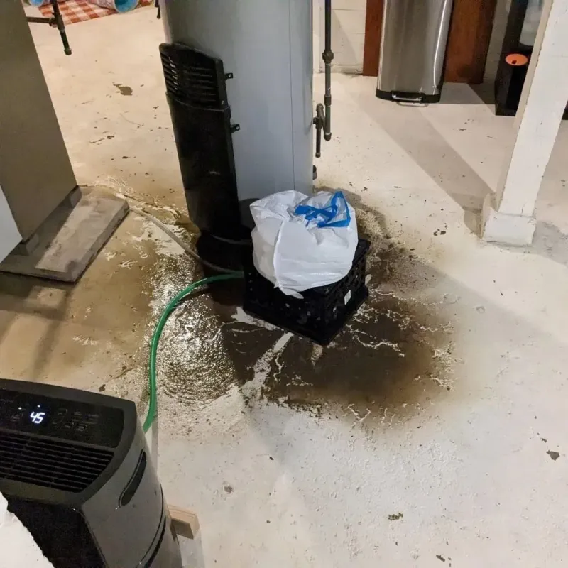 Sewage Backup Cleanup Service in Comanche, TX